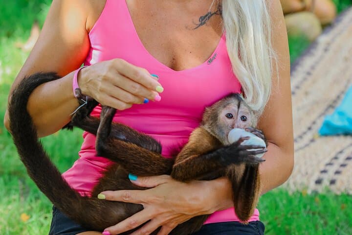 Private Monkey House VIP Experience in Punta Cana — 4 Monkey Species & Professional Photo Shoot photo 4