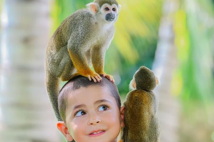Private Monkey House VIP Experience in Punta Cana — 4 Monkey Species & Professional Photo Shoot photo 6