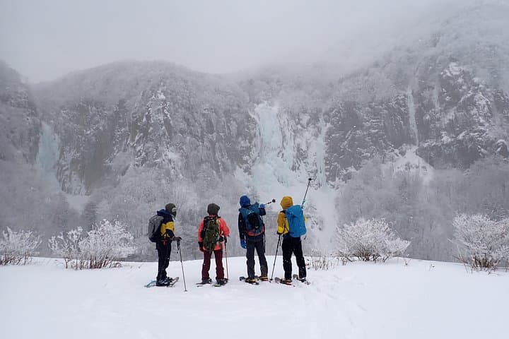 Private Snow Monkey & Frozen Waterfall Tour — Nagano Snowshoe Adventure