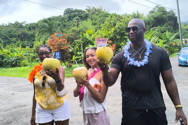Taste and Cascades: Hop-On Hop-Off Grenadian Food Tour & Waterfall Swim photo 2