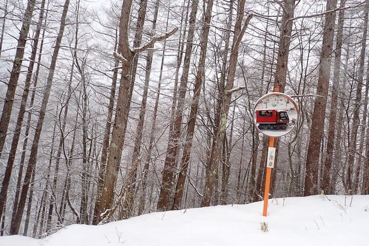 Private Snow Monkey & Frozen Waterfall Tour — Nagano Snowshoe Adventure photo 6