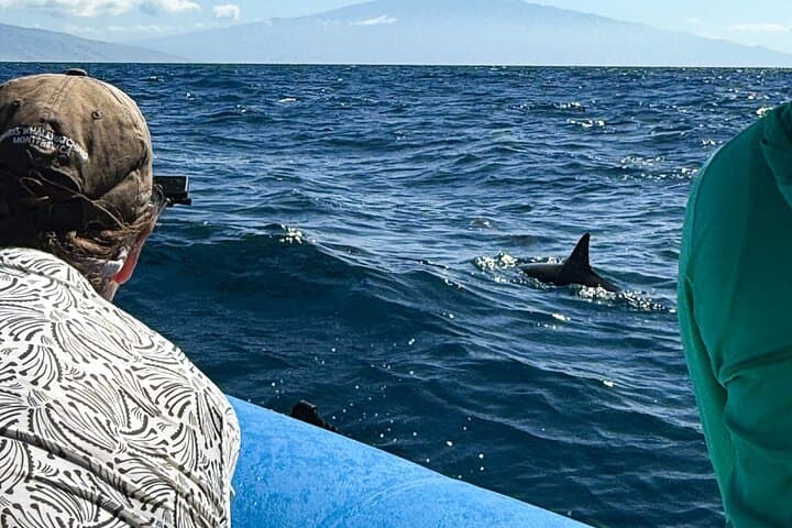 Maui Eco-Raft Dolphin Watch: Lahaina Zodiac Sightseeing Tour photo 3