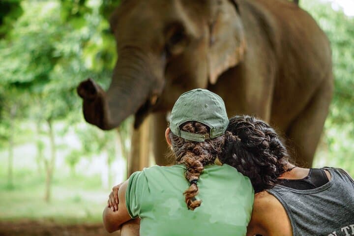 Overnight Elephant Conservation Experience at Nam Pouy — 2-Day Tour from Luang Prabang photo 6