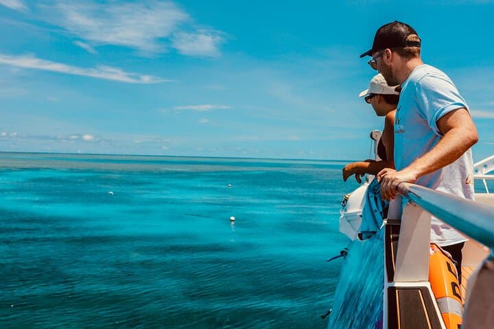 Half-Day Great Barrier Reef Snorkel from Cairns — Fast Boat to Outer Reef photo 2
