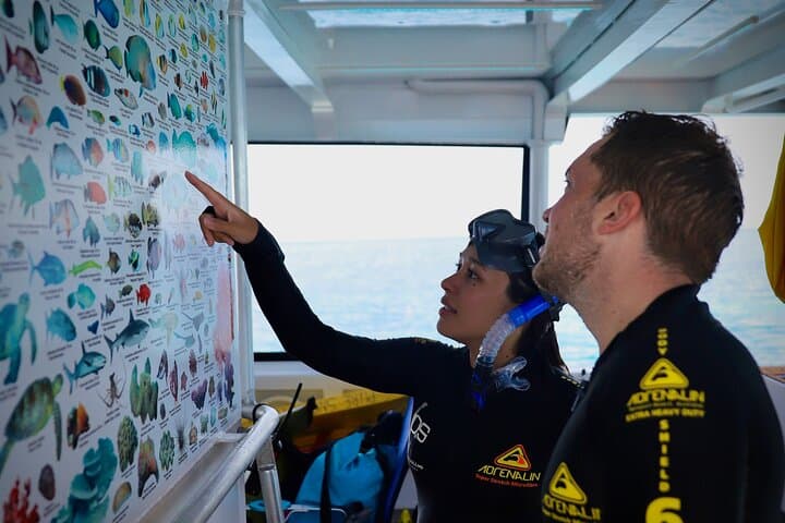 Half-Day Great Barrier Reef Snorkel from Cairns — Fast Boat to Outer Reef photo 4