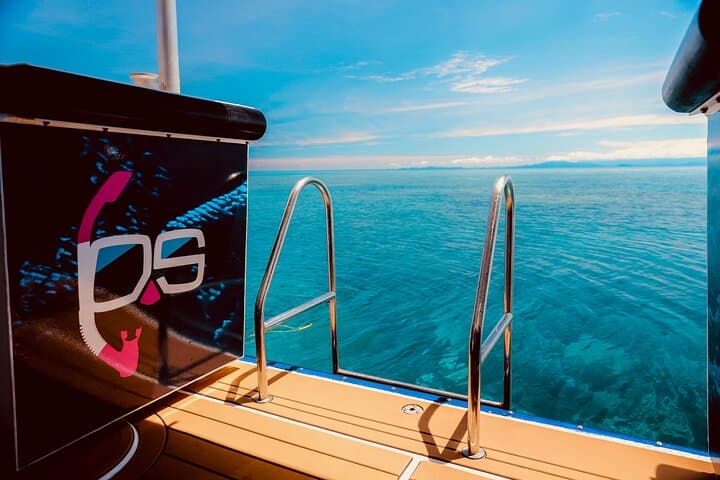 Half-Day Great Barrier Reef Snorkel from Cairns — Fast Boat to Outer Reef photo 6