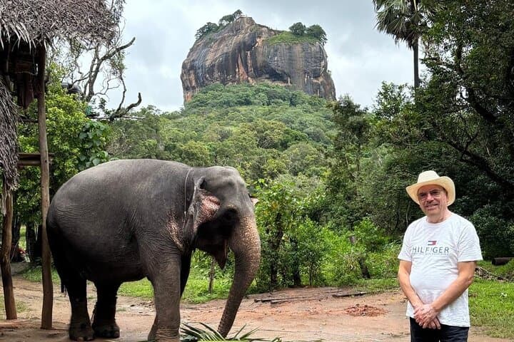 7-Day Private Sri Lanka Tour: Sigiriya, Kandy, Tea Country & Yala Safari