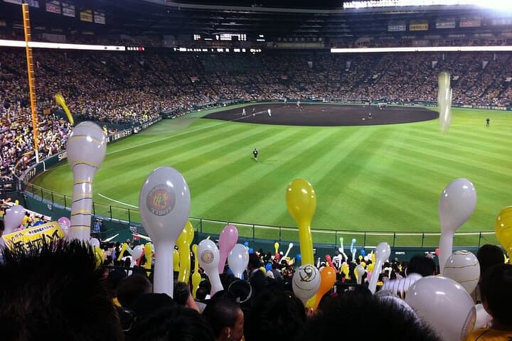 Yomiuri Giants Game Experience at Tokyo Dome — Fan Guide & Practical Tips photo 3