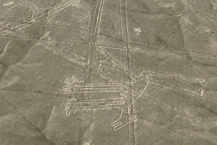 Nazca Lines Overflight and Huacachina Oasis Private Day Tour from Lima photo 3