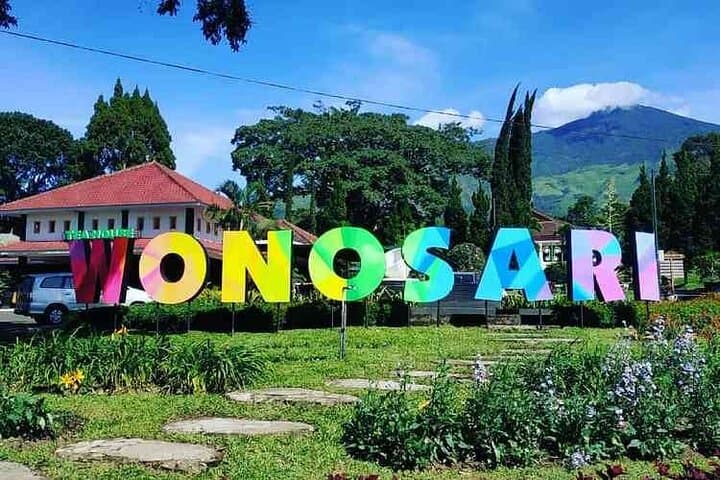 Malang Tea Plantation & Bee Farm: Half-Day Cultural Nature Tour photo 3