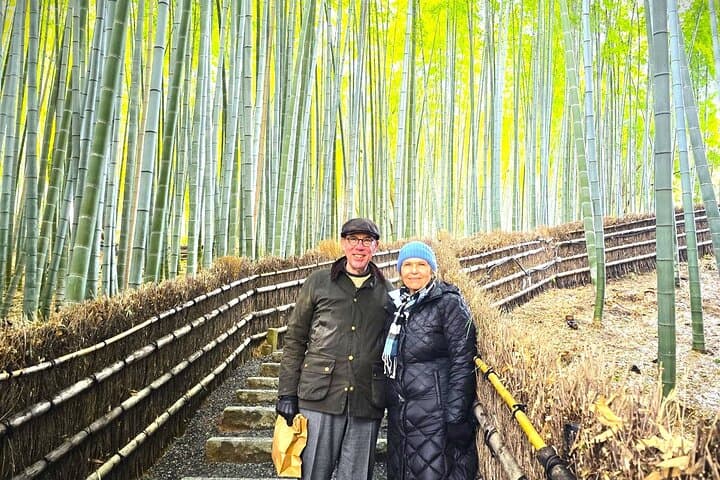 Hidden Gems of Arashiyama: Private Walking Tour to Bamboo Grove and Quiet Temples