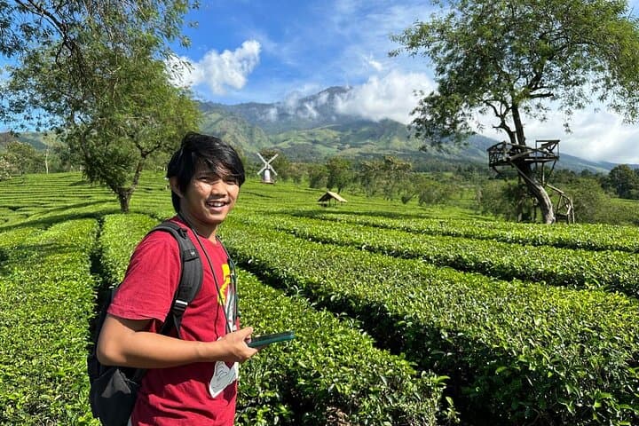 Malang Tea Plantation & Bee Farm: Half-Day Cultural Nature Tour photo 5