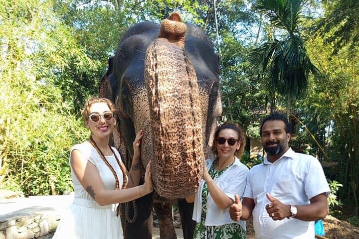 Full-Day Kandy and Pinnawala Elephant Orphanage Tour from Colombo