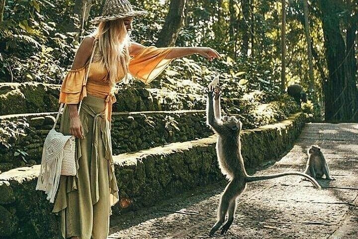 Ubud Private Tour — Monkey Forest, Tegalalang Rice Terraces, Campuhan Ridge & Tegenungan Waterfall photo 2