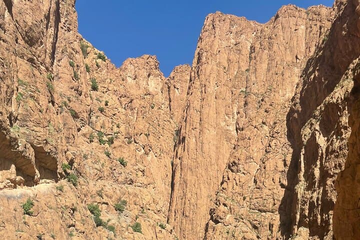 3-Day Marrakech to Merzouga Sahara Tour — Kasbahs, Todra Gorge & Erg Chebbi Dunes photo 2