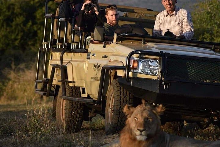 Zululand Big 5 Safari: Hluhluwe & Manyoni Private-Reserve Owner-Guided Tour