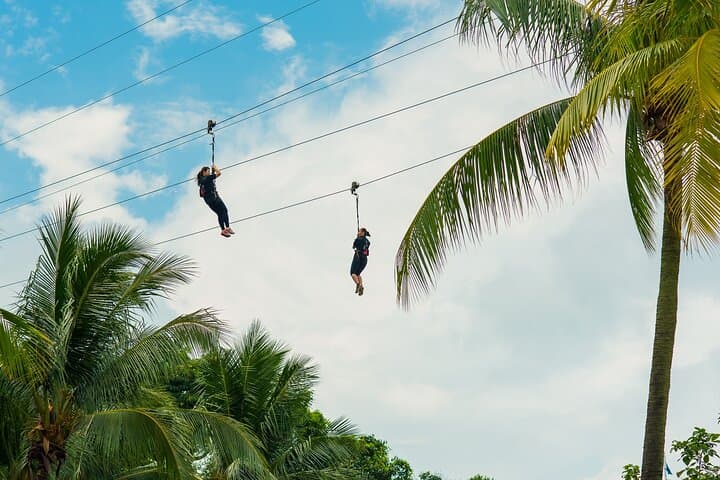 MegaZip Sentosa: Zipline Over Siloso Beach at 60km/h photo 3