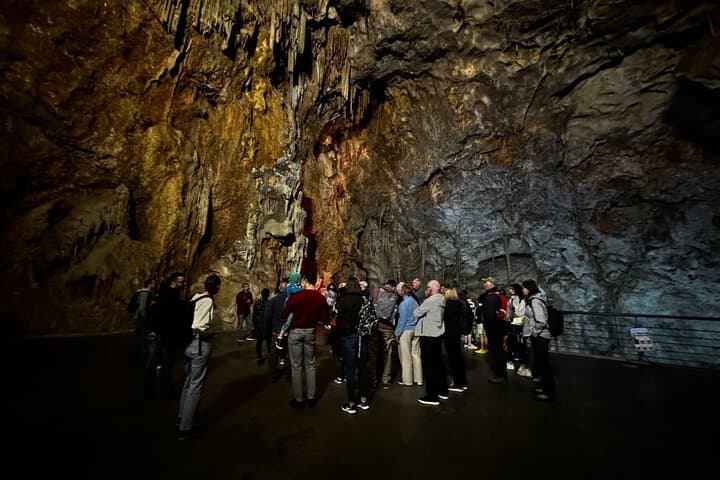 Cuevas del Canelobre and Busot Guide — Half-Day Tour from Alicante photo 3