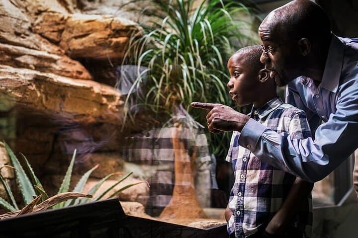 Universeum Gothenburg: Science Center, Aquarium & Rainforest Tickets photo 6