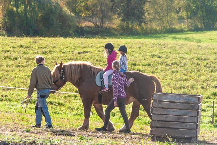 Children's Horseback Riding at Fokhol Gård — Gentle Farm Rides Near Lillehammer photo 2