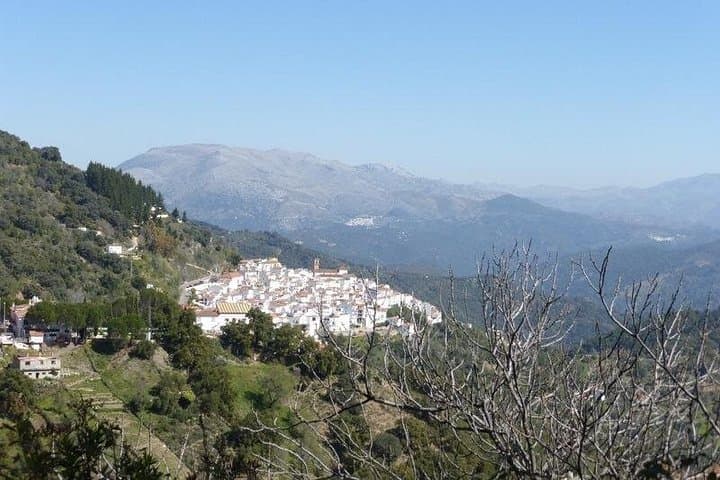 Pueblos Blancos Day Trip from Seville: Ronda, Zahara & Setenil in One Day photo 3