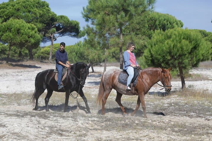 Discovering Portugal's Silver Coast: Horseback Beaches & ATV Trails photo 3