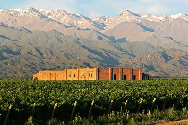 Uco Valley Gourmet Wine Tour: Small-Cellar Malbecs & Andes Views