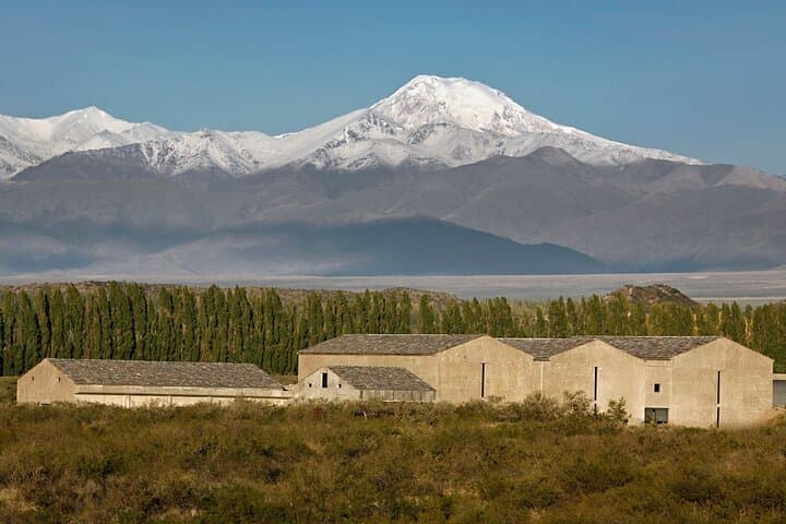 Uco Valley Gourmet Wine Tour: Small-Cellar Malbecs & Andes Views photo 2