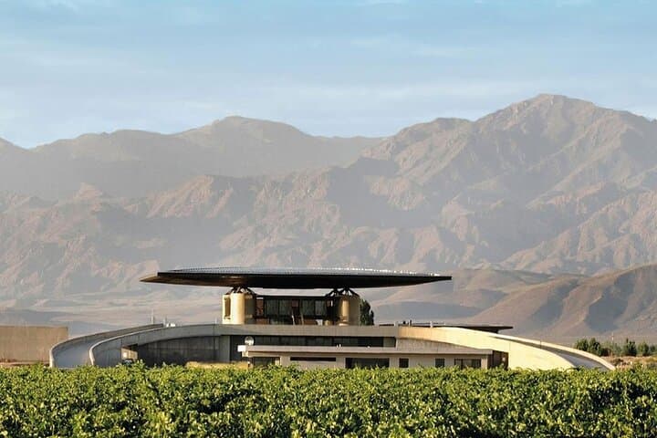 Uco Valley Gourmet Wine Tour: Small-Cellar Malbecs & Andes Views photo 4
