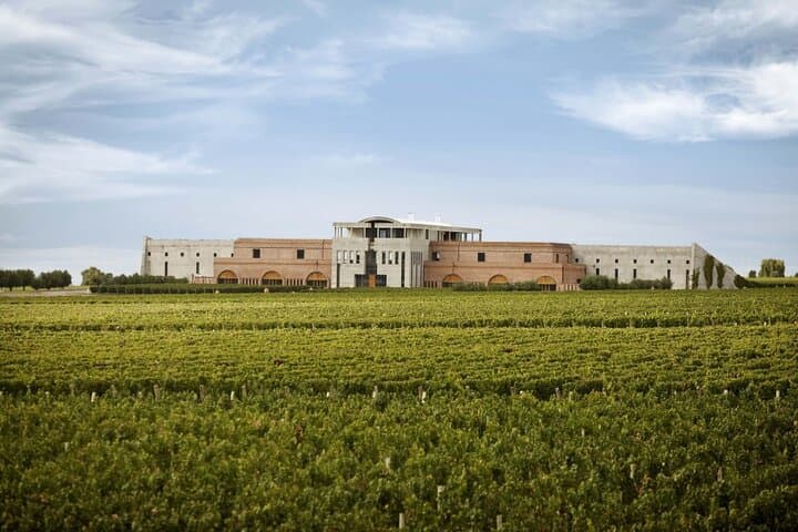 Uco Valley Gourmet Wine Tour: Small-Cellar Malbecs & Andes Views photo 5