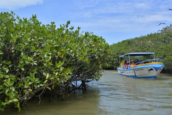 Mancora to Tumbes: Full-Day Mangroves, Beaches & Wildlife Tour photo 2