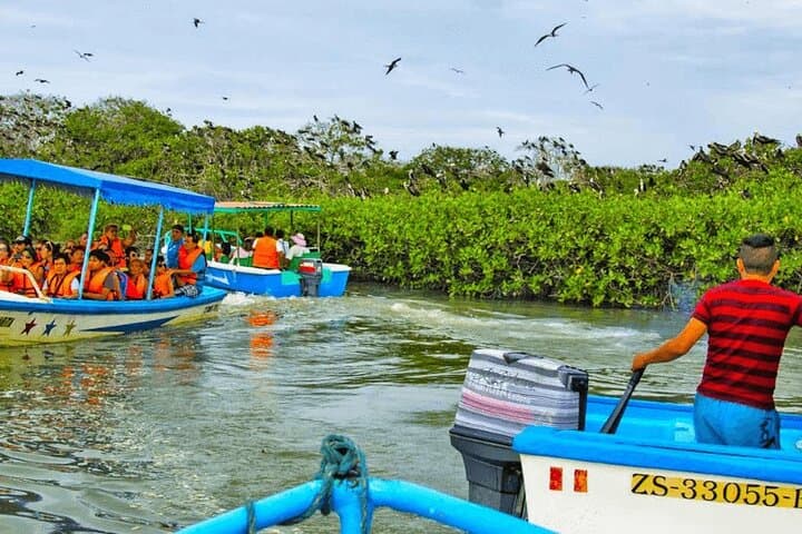 Mancora to Tumbes: Full-Day Mangroves, Beaches & Wildlife Tour photo 4