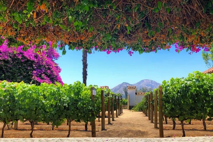 santa-rita-winery-bike-and-picnic-tour-santiago photo 1