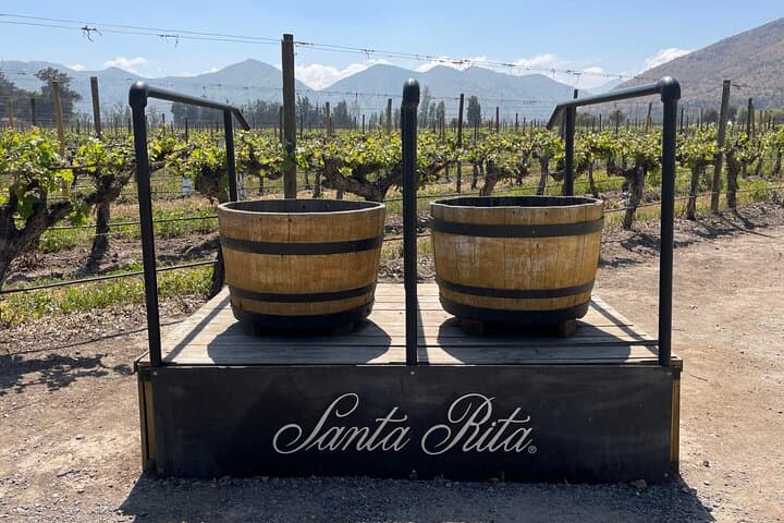 santa-rita-winery-bike-and-picnic-tour-santiago photo 2