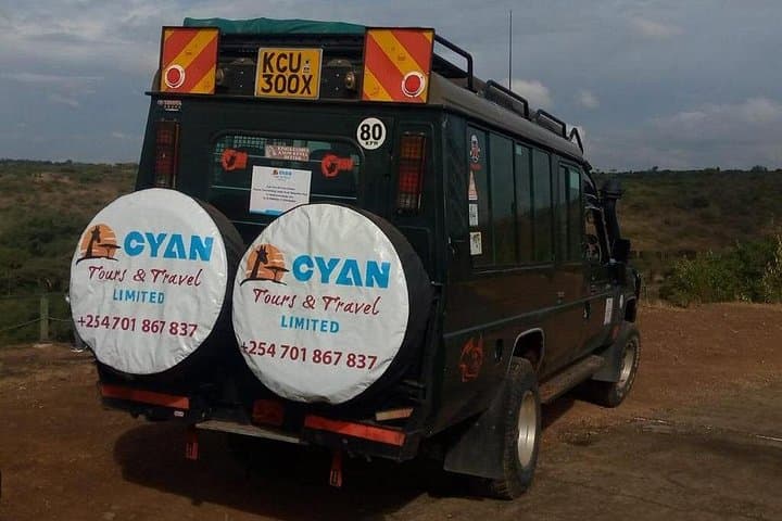 Inside Nairobi National Park: A Private Day Safari on the Edge of the City photo 4