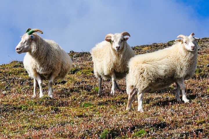 Hut-to-Hut Hiking Iceland's Ancient Highlands: 6-Day Mountain-Hut Trek photo 2