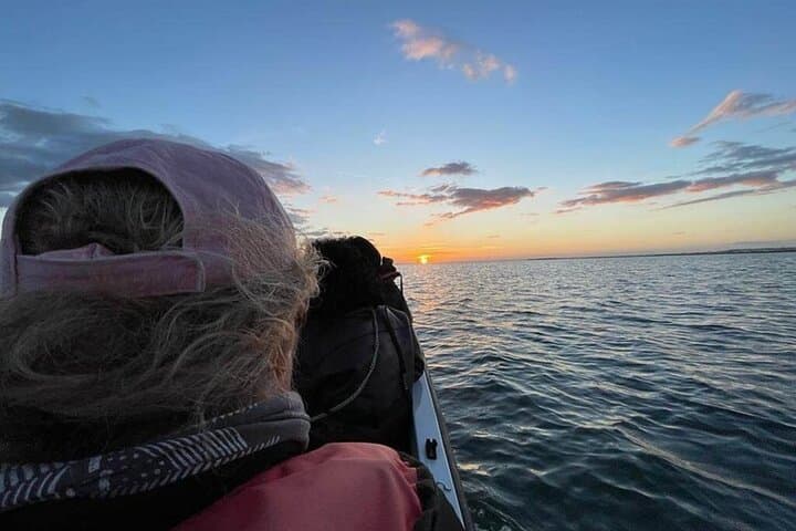 Sunset Boat Trip through Ria Formosa & Culatra Island photo 2