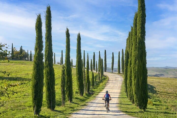 Pienza and Val d'Orcia Private E-Bike Tour from Florence photo 4