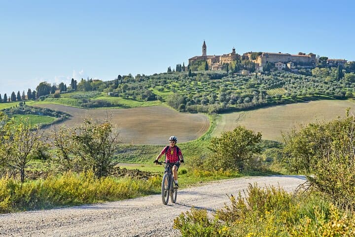 Pienza and Val d'Orcia Private E-Bike Tour from Florence