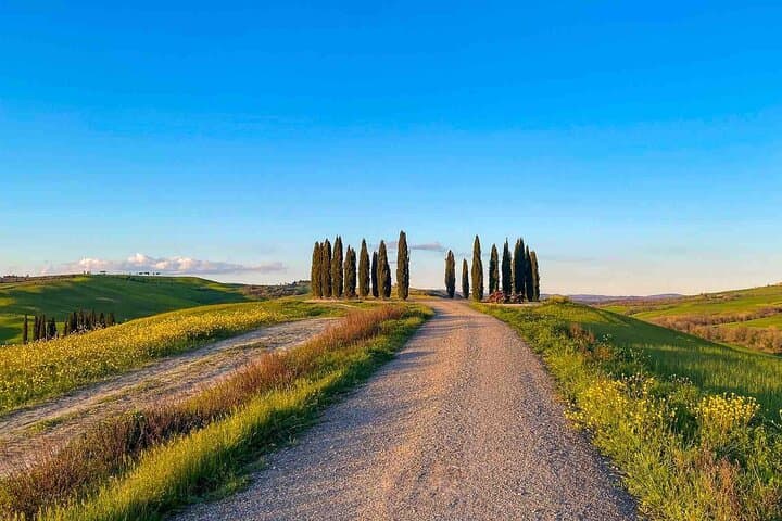 Pienza and Val d'Orcia Private E-Bike Tour from Florence photo 6