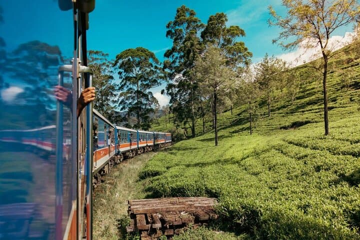 9-Day Classic Sri Lanka: Guided Tour from Colombo to Yala photo 4
