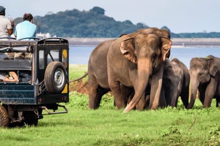 9-Day Classic Sri Lanka: Guided Tour from Colombo to Yala photo 3