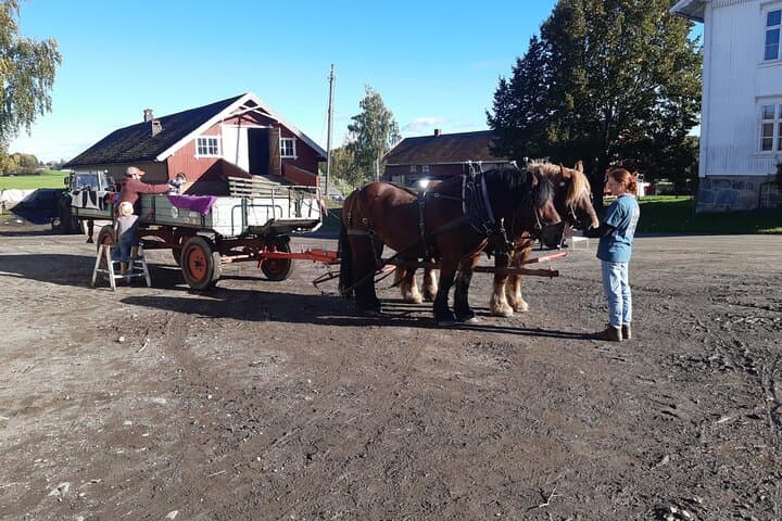 Horse-Drawn Carriage & Sleigh Rides at Fokhol Gård, Stange photo 5