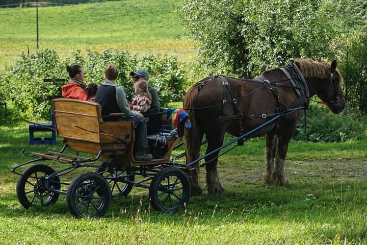 Horse-Drawn Carriage & Sleigh Rides at Fokhol Gård, Stange photo 6