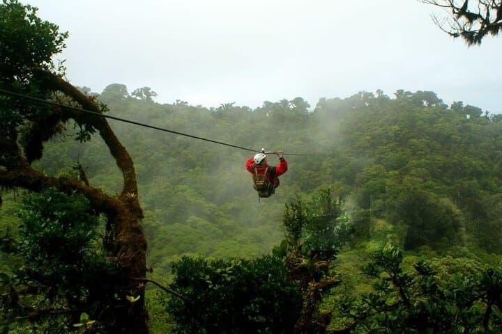 Cloud Forest Day in Mindo: Zip Lines, Birding & Chocolate Tours photo 2