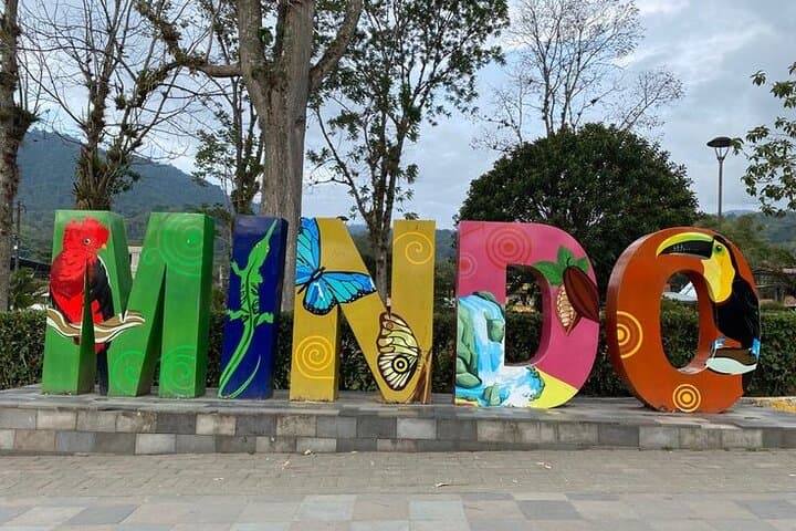 Cloud Forest Day in Mindo: Zip Lines, Birding & Chocolate Tours photo 5