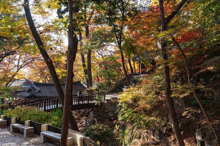 Seoul Unveiled: Walking Untold Stories and the City Wall Overlook photo 1