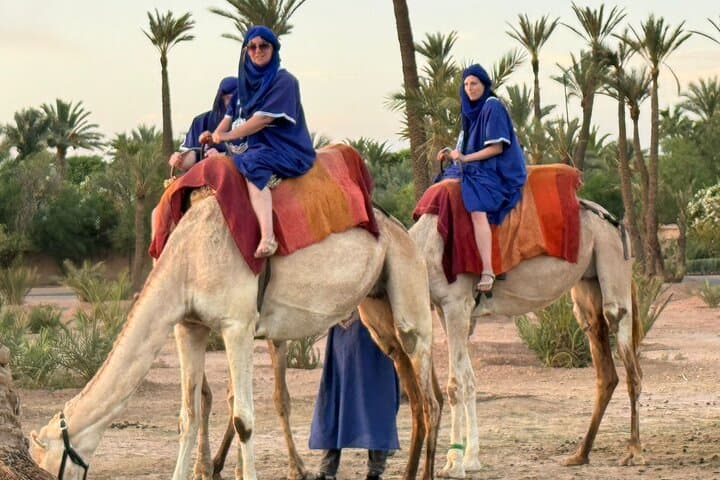 Camel Ride Through the Palmeraie of Marrakech — 1‑Hour Camel Trek & Mint Tea