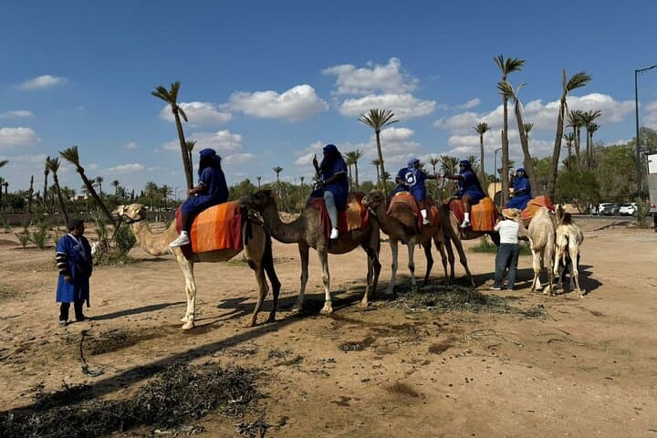 Camel Ride Through the Palmeraie of Marrakech — 1‑Hour Camel Trek & Mint Tea photo 3