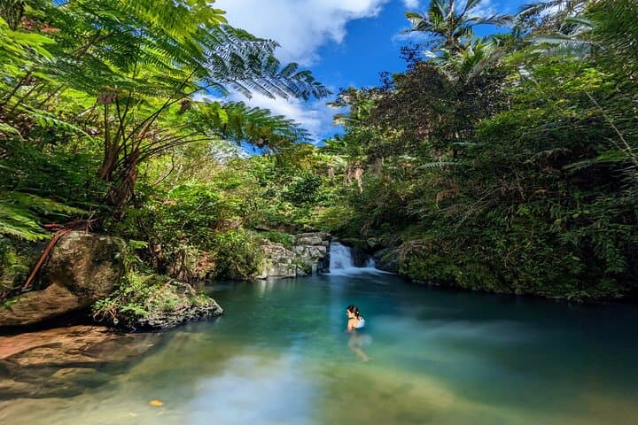 Villalba River Swim and Tropical Flora Identification — 2‑Hour Forest Experience photo 5